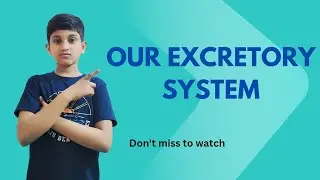 our excretory system in enligh #educationalvedios  #learnwithkarthikeya