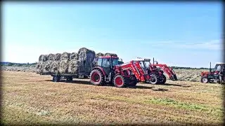 ||Zbieranie bel z POMPĄ 2K17 ||Zetor Proxima 110 Power||Zetor 7745 ||Trzy Zetory w akcji ||Case96