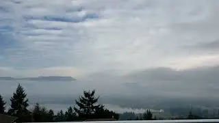 Timelapse weather and fog 101  north Cowichan 0900- 1700 Jan 22 2026 
