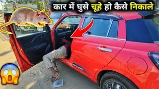 😮 Car me Chuha Ghus Gaya | rat problem in car | rat in car |  how to protect car from rats