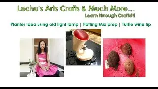 Planter Idea using old light lamp | Potting Mix prep | Turtle wine care tip