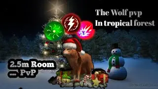 The Wolf || playing PvP 2.5m Room in Tropical forest with boost.. ||