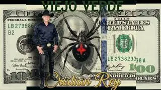 Viejo verde - Cristian rey audio oficial 