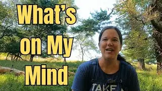 Not Just a Hike… A Therapy Session with the Trees