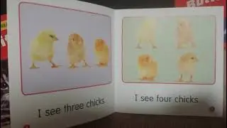GUIDED SCIENCE READERS SCHOLASTIC LEVEL A
