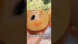 Voc&ecirc; conhece essa fruta?         #sapoti #sapota #beneficios para #saude