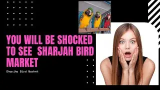 UAE Sharjah Bird Market ||  Reasonable Rates  || Very Beautiful Market