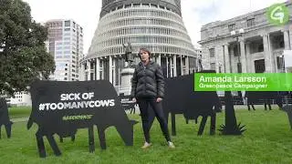 Greenpeace Health Report Launch