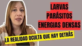 LARVAS, PARÁSITOS, ENERGÍAS DENSAS… ¡LA VERDAD INCÓMODA!