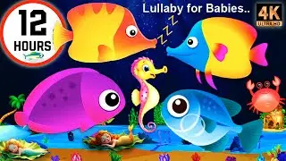 Sleep Instantly Within 3 Minutes ♥ Mozart Brahms Lullaby ♫ Lullaby for Babies to Go to Sleep #424