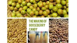Tribal Way of Making Indian Gooseberry Candy | Manipur | Naga | North East |
