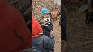 dog off chaild #shorts #reels #funny #video #comedy