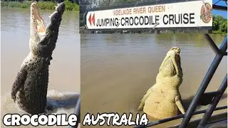 Jumping Crocodile Cruise Darwin