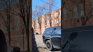 January 7th walk video to Dan Ryan woods 