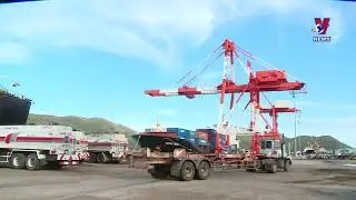 Vietnam posts two-fold growth in agricultural trade surplus