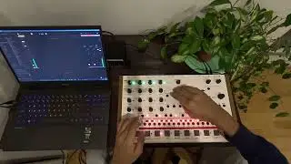 ALPHA BASE MK 2 JAM SESSION #jamuary2026