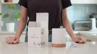 How to setup your Friendship Lamp with the LuvLink&reg; app (standard)