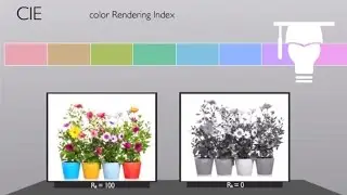 Color Rendering