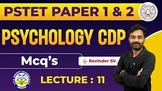 PSTET Psychology Preparation 2024 | CDP PSTET Paper 1 & 2 | Lecture 11 | Punjab PSTET 2024
