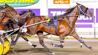 2025 The Nullarbor (G1) 2536M Gloucester Park Western Australia : Mister Smartee (1:54:4)