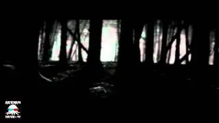 Die Farbe (2010)