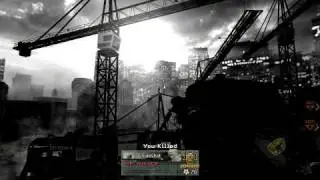 iw4mp 20110202 1358531