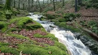 Refreshing River Sounds