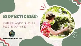 Why Biopesticides Are Redefining Sustainable Crop Protection