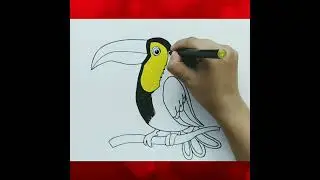 Easy Toucan Bird Drawing And Colouring For Kids | Easy Bird Drawing For Kids | Easy Painting #short