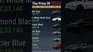 Tesla India Entry!! #tesla #teslaindia #EV #techbaevolgs