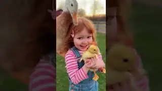 MOM DUCK ATTACKS! 🤣 Girl Gets Head-Jumped for Duckling! (Sora 2 Wholesome Chaos) #veo3viral #soraia