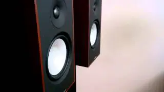 Paradigm Mini Monitor v7