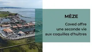 Coved offre une deuxi&egrave;me vie aux hu&icirc;tres de l&rsquo;&eacute;tang de Thau | Paprec Group