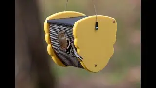 4813 Songbird Beehive Nyjer Feeder, available exclusively at duncraft.com