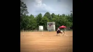 #barrelracing #equestrian #cowgirl #barrelracer #horse #cowboy #rodeo #edit #horsesport