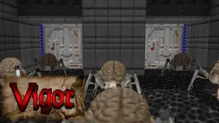DOOM II with Project Brutality [Vigor] Level 14 2999 AD