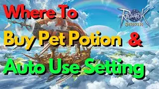 Where to Buy Pet Potions and Auto Use - Ragnarok Origin Global