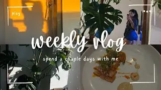 VLOG: grocery shop with me, mooncake festival, night out with friend + MORE ୨ৎ