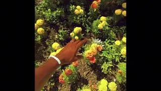 [FREE] TYLER THE CREATOR X FRANK OCEAN GARDEN SHED TYPE BEAT -&ldquo;SHOVEL&rdquo;