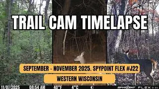 2025 Trail Camera Timelapes Western Wisconsin ~ Camera #J22