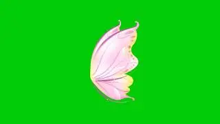 PINK BUTTERFLY GREEN SCREEN | FREE TO USE | NO COPYRIGHT