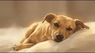 Soothing Piano Music for Anxiety Relief and Relaxation
