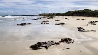 Solo walk to a remote windswept beach. First person view, virtual walk.