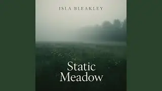 Static Meadow
