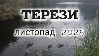 ✨ ТЕРЕЗИ. Таро прогноз на ЛИСТОПАД 2025