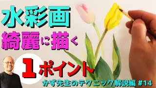 【初心者必見】水彩画を綺麗に描くためのたった1つのポイント【誰でも簡単】