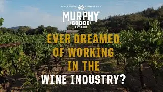 Murphy-Goode A Really Goode Job 2022