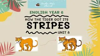 ENGLISH YEAR 6 UNIT 8 HOW THE TIGER GOT ITS STRIPES
