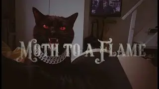 Moth To A Flame (NBD Version) Fusion entre melodic techno y deep house