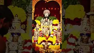 Venkatesaya #Venkatesaya #devotionalhits #Theanncients #Mmohar #trending #Pooja #Aarti #mantra